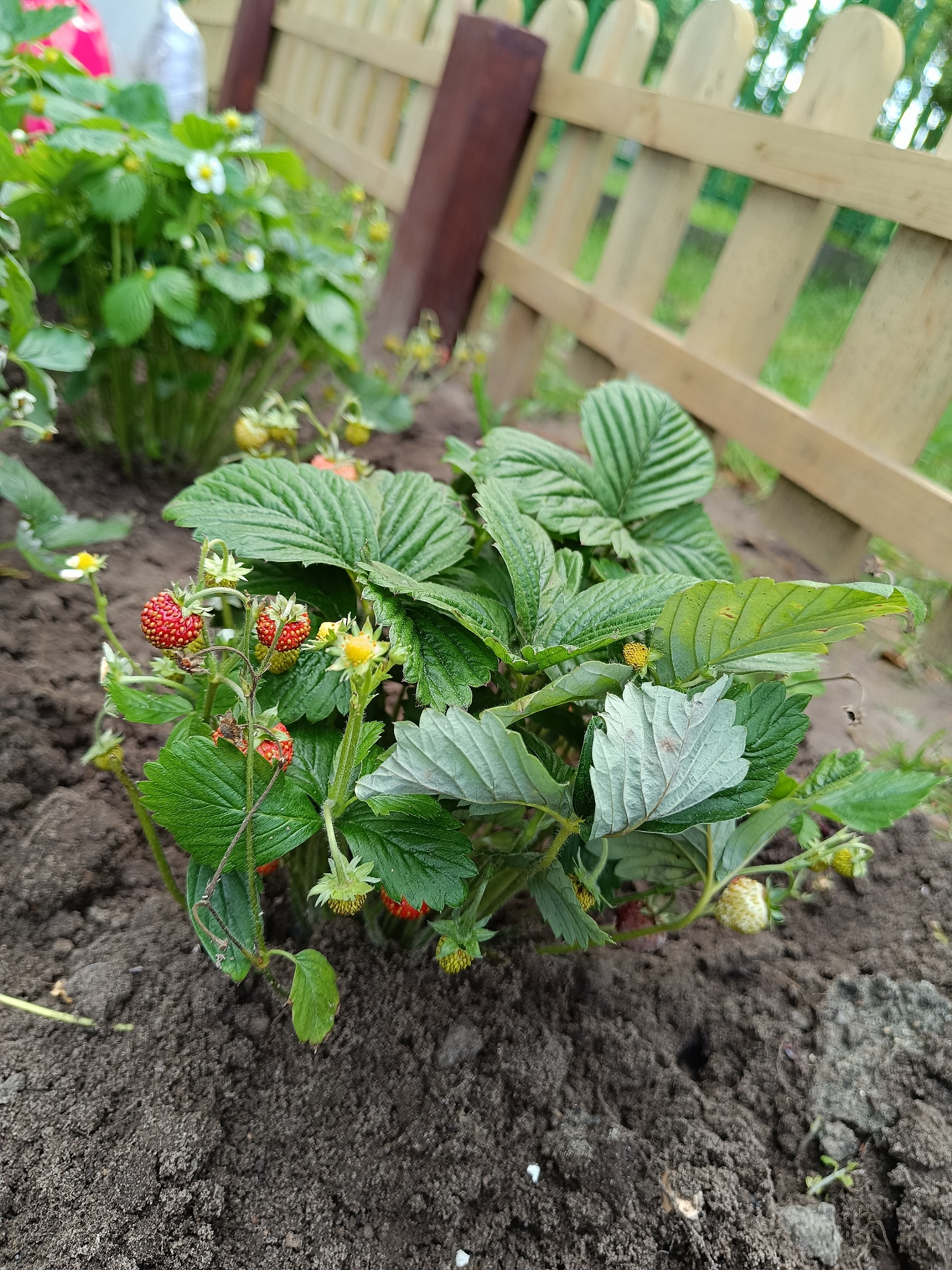 Galeria - Przedszkole 390 w Warszawie