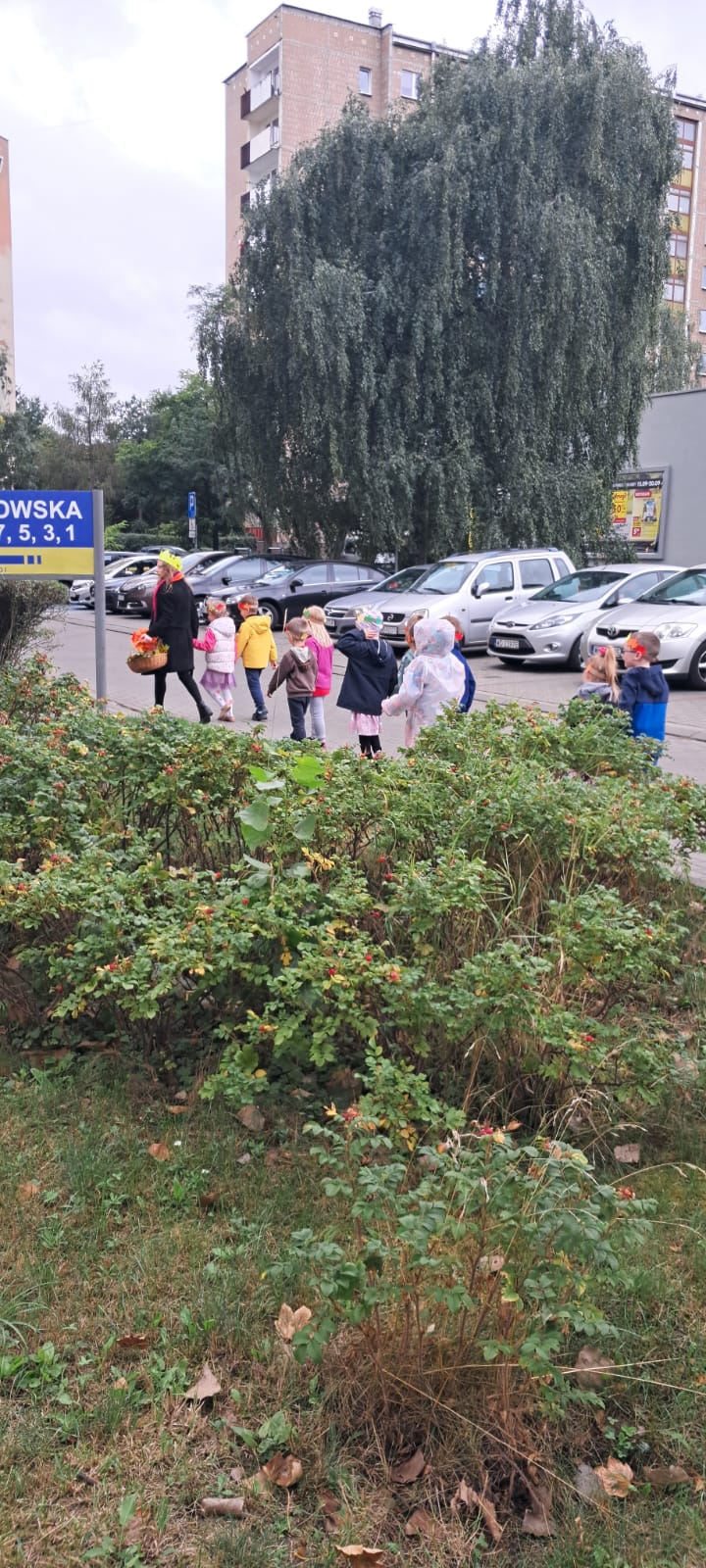 Galeria - Przedszkole 390 w Warszawie