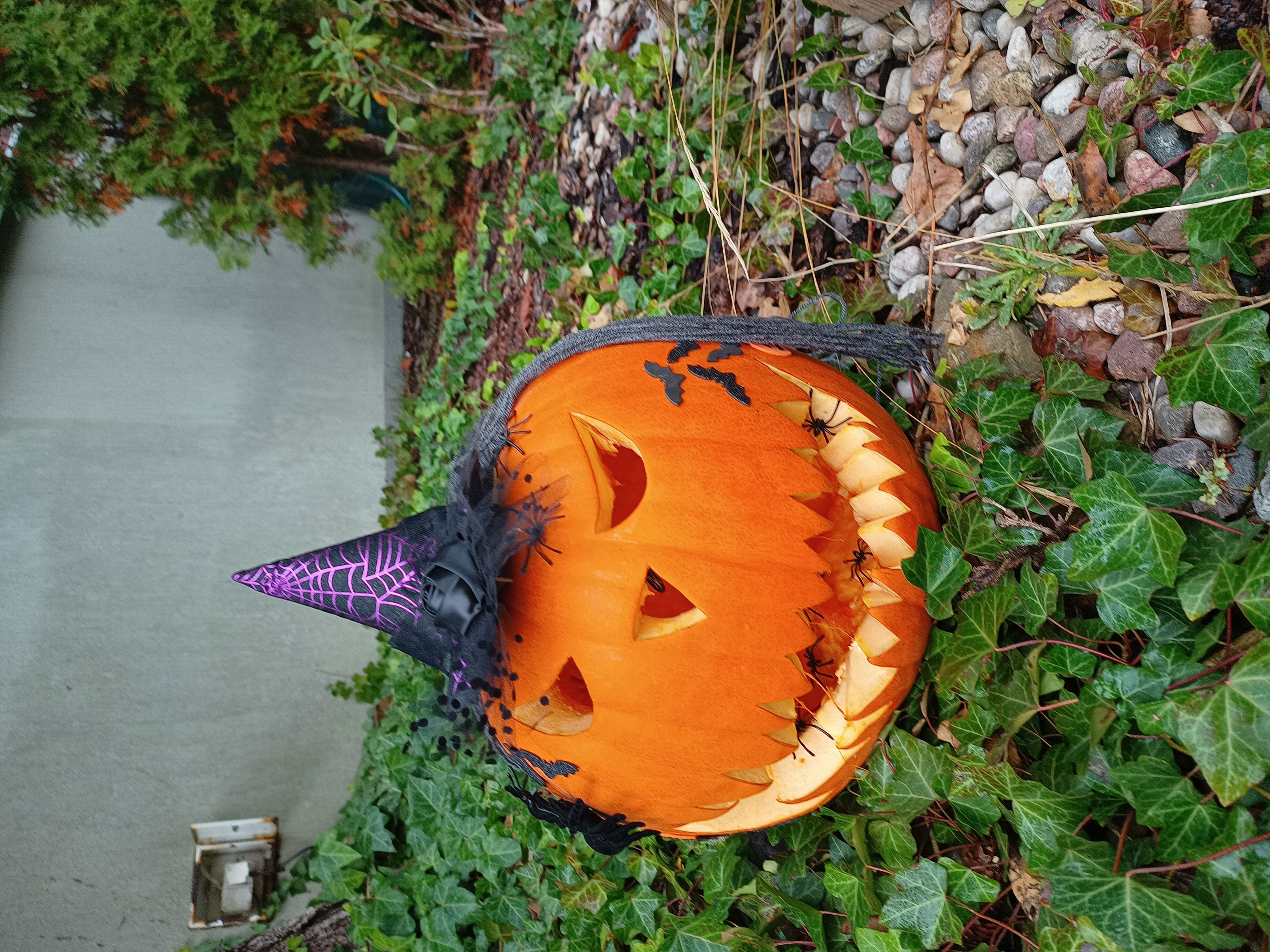 Galeria - Przedszkole 390 w Warszawie