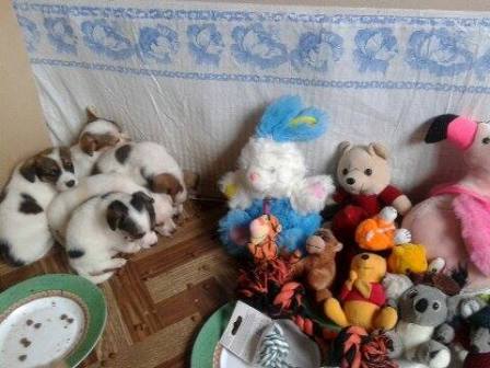 Galeria - Przedszkole 390 w Warszawie