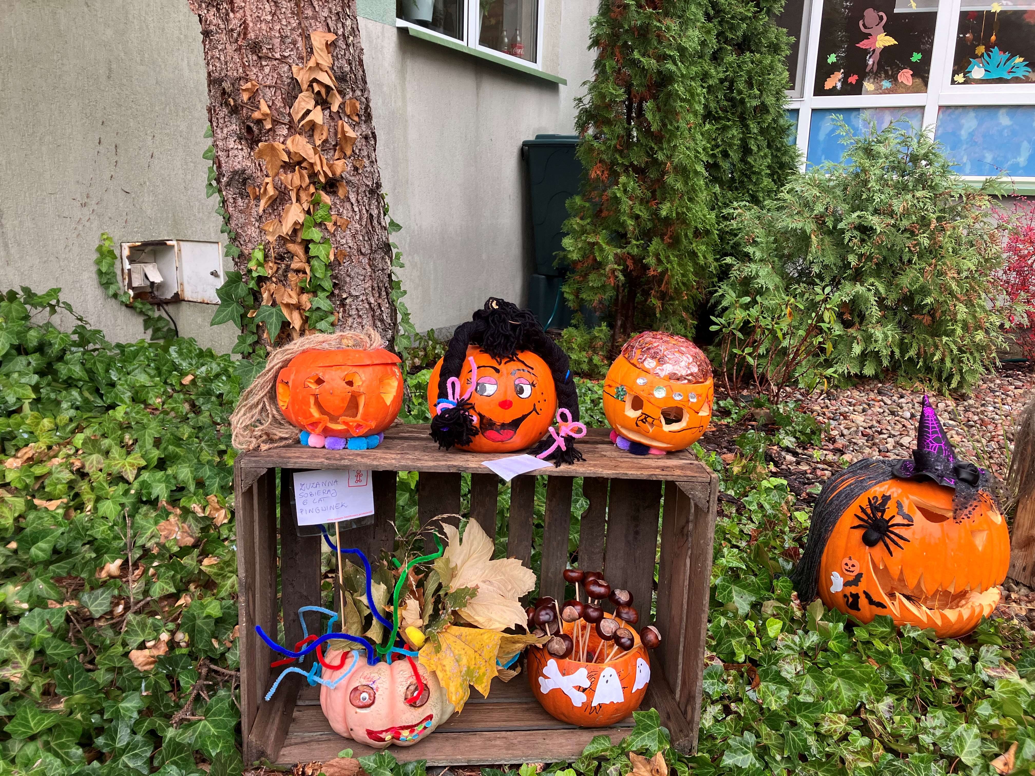 Galeria - Przedszkole 390 w Warszawie