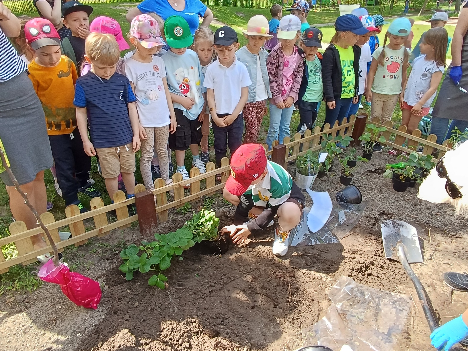 Galeria - Przedszkole 390 w Warszawie
