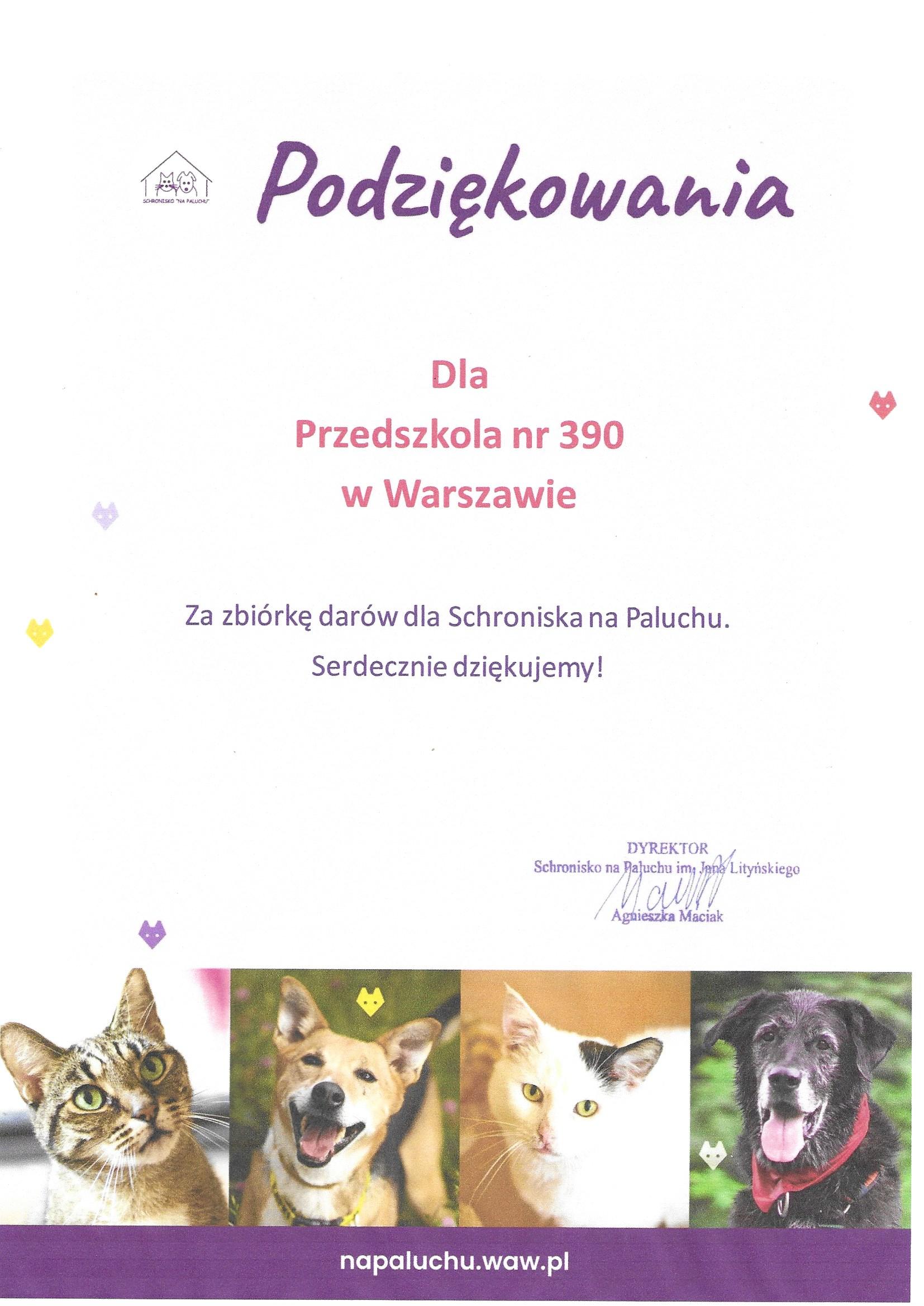 Galeria - Przedszkole 390 w Warszawie