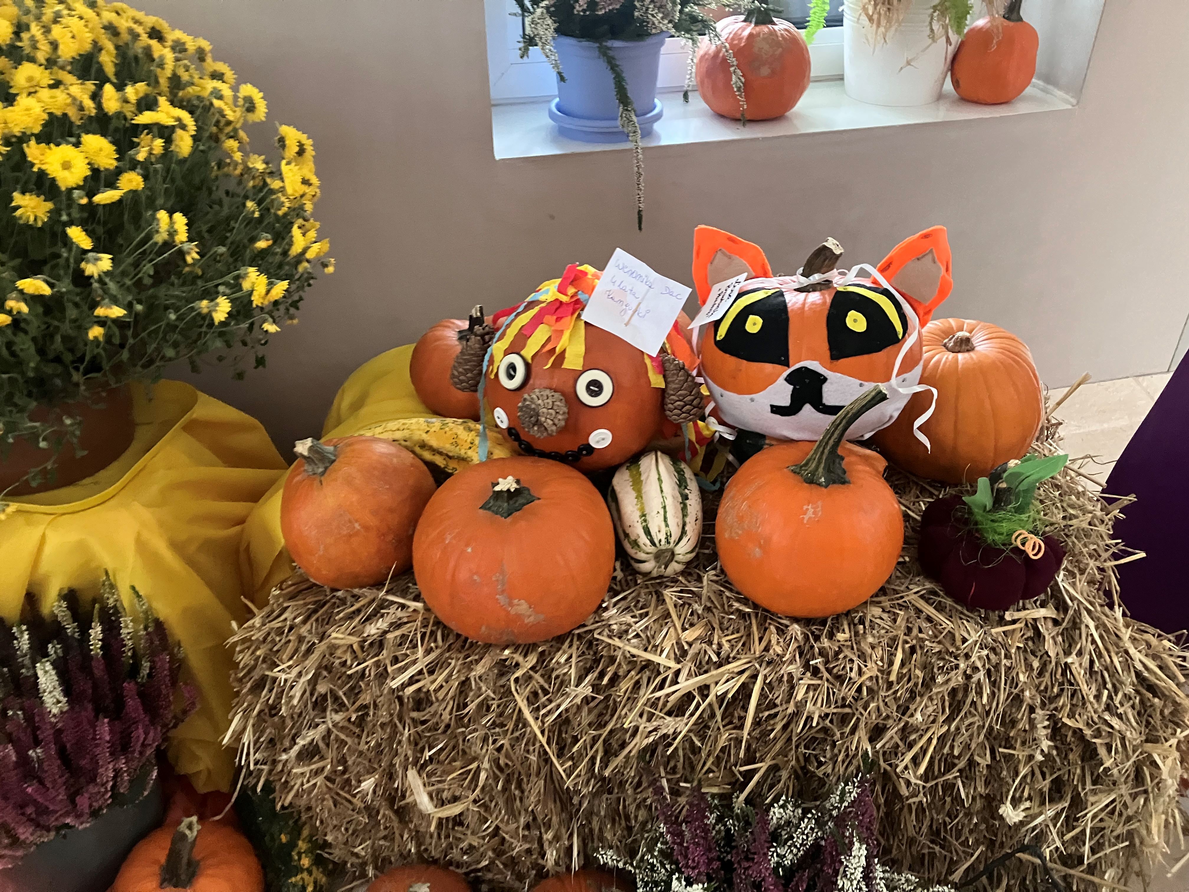 Galeria - Przedszkole 390 w Warszawie