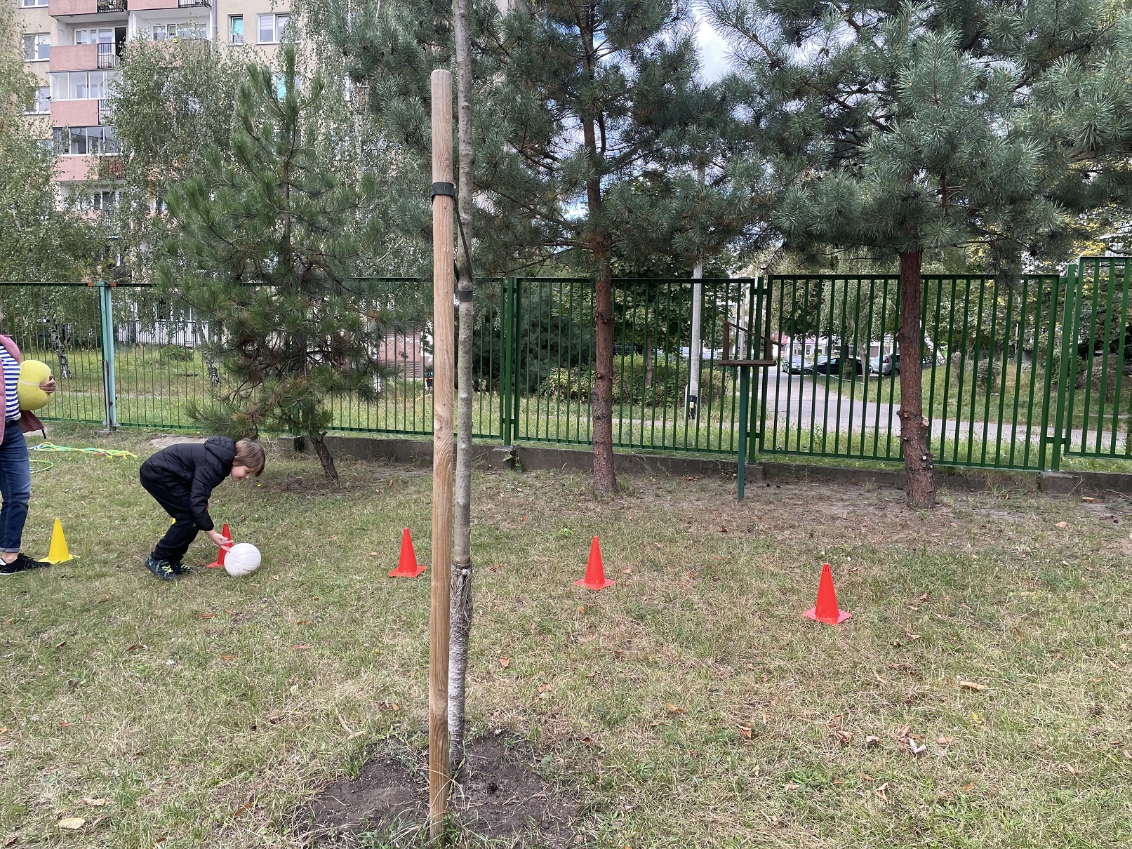 Galeria - Przedszkole 390 w Warszawie