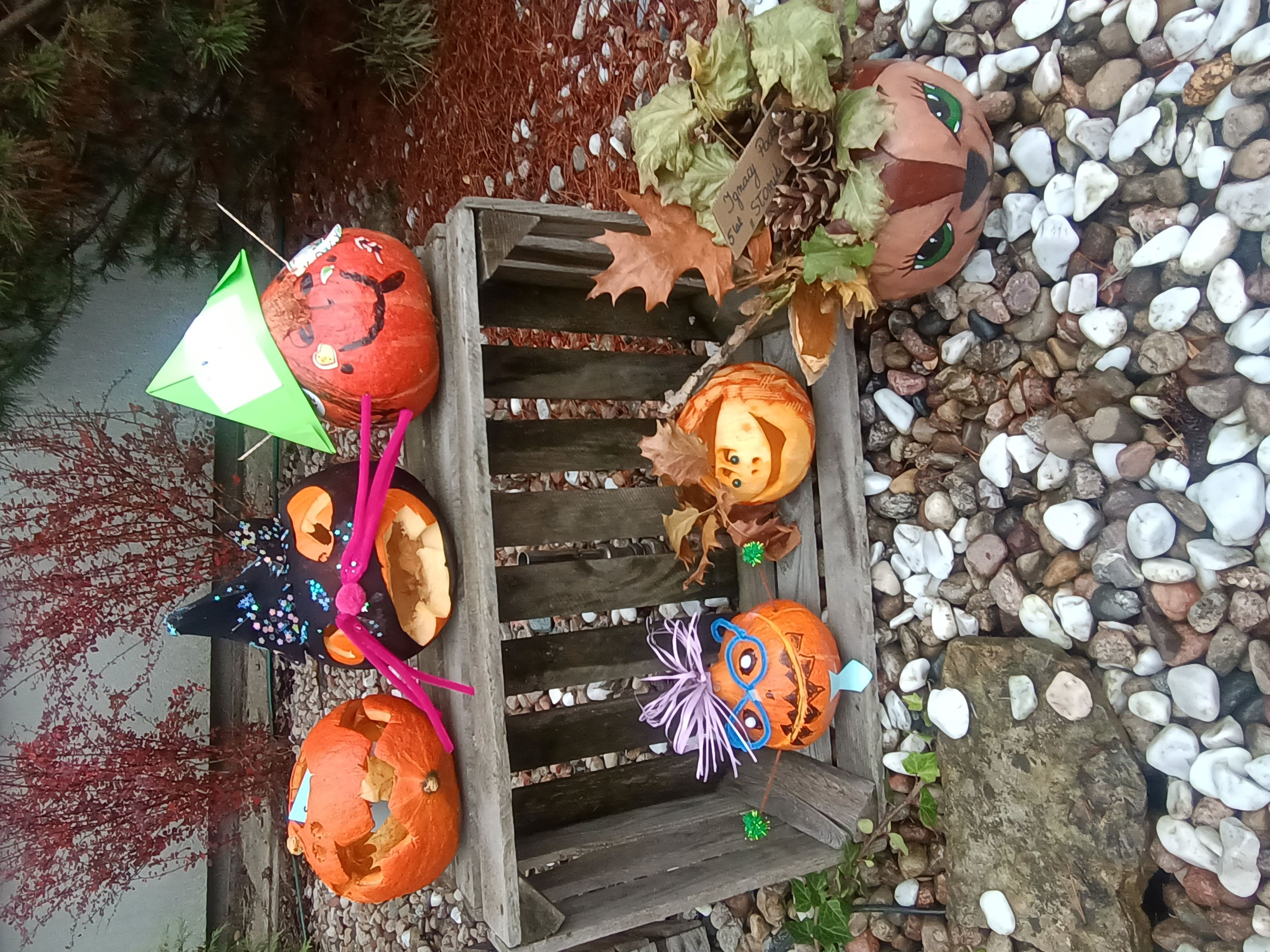 Galeria - Przedszkole 390 w Warszawie