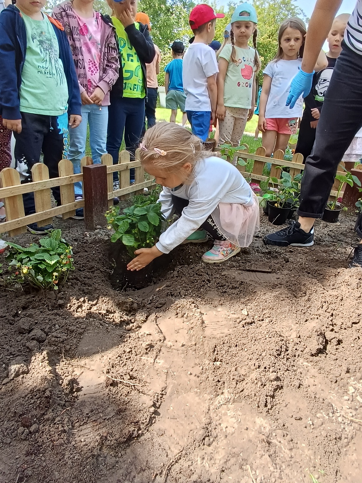 Galeria - Przedszkole 390 w Warszawie